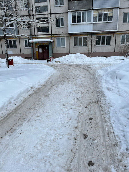 «На риск не соглашались»: спортсмен Николаев заявил, что петербуржцы опасаются получить увечья из-за неубранного снега