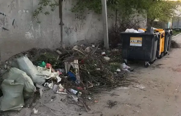 Жители Петербурга продолжают сообщать о переполненных мусорных баках